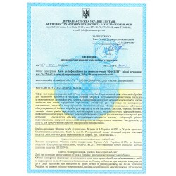 Антисептик для рук ФАСЕПТ 100 мл ___ФУРМАН (046)